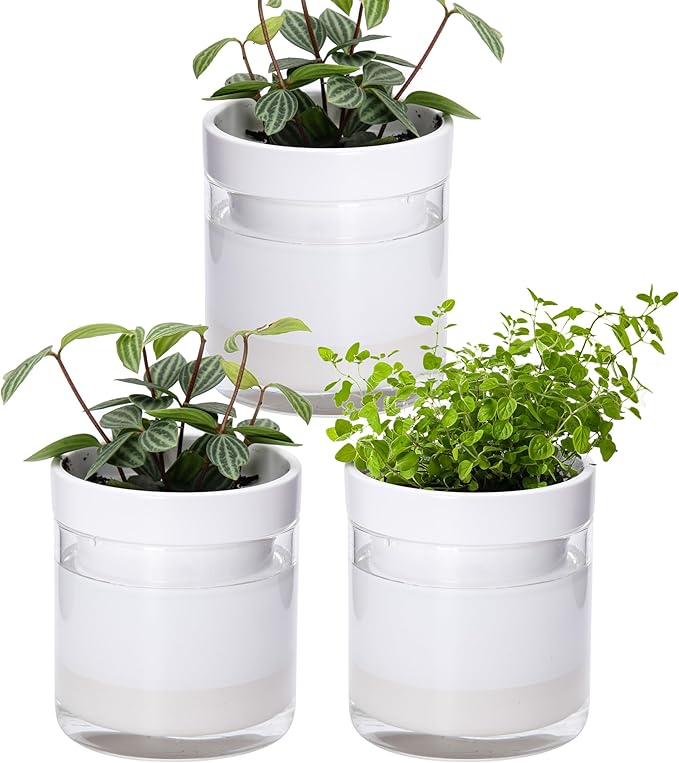 Phoenix Vine 4 Inch Self Watering Planter by Phoenix+Vine