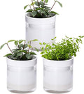 Phoenix Vine 4 Inch Self Watering Planter by Phoenix+Vine