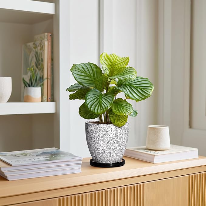 Ceramic Plant Pots - Image 3