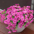 Artificial Flowers for Outdoors, UV Resistant Fake Silk Morning Glory, by maxkes