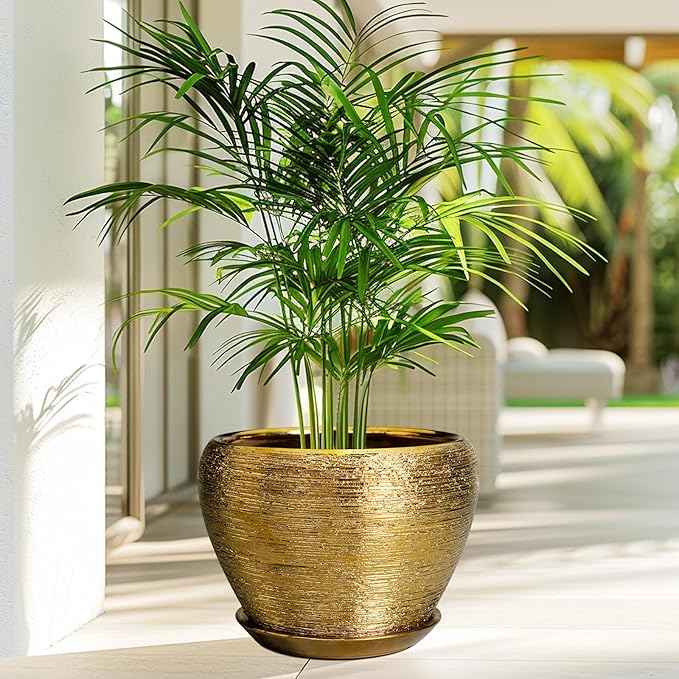 Ceramic Planter 10 Inch - Image 5