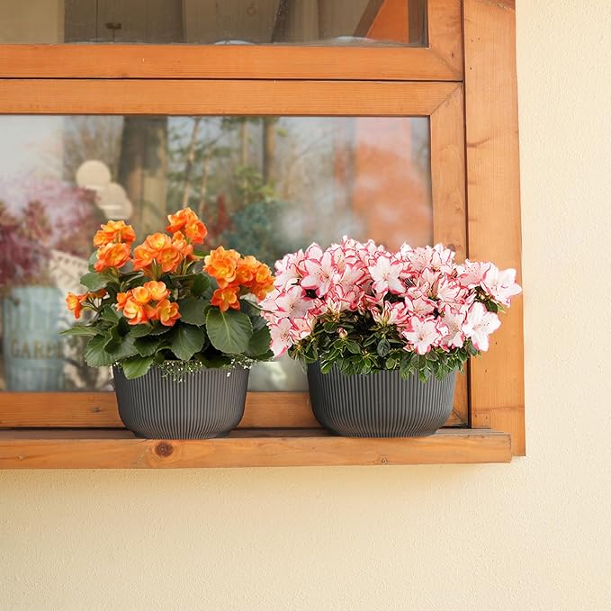 T4U 12 Inch Large Self Watering Plant Pots, Wide Self Watering Planter - Image 5