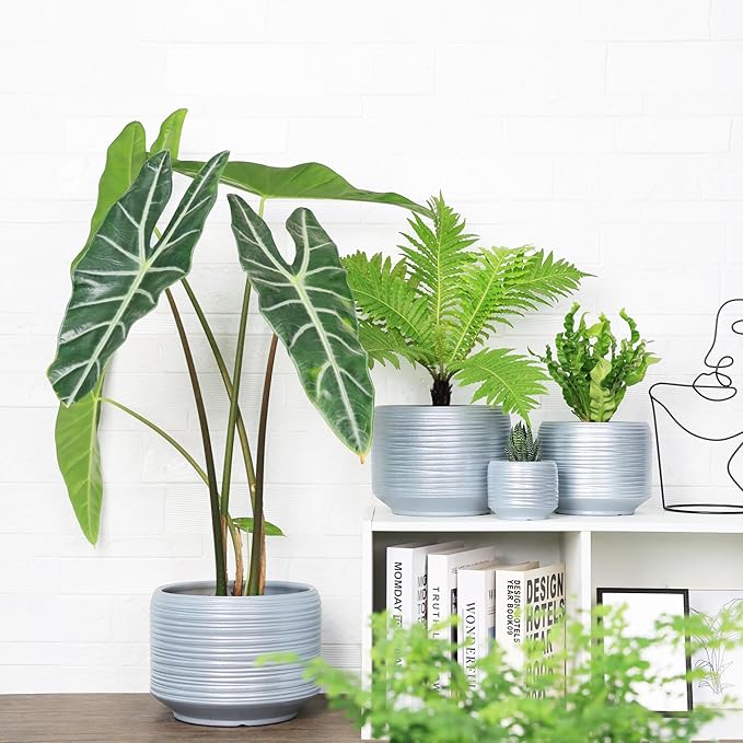 10 Inch Ceramic Plant Pot with Drainage – Large Flower Pot - Image 5