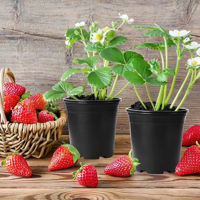 OJYUDD 120 Pcs 0.5 Gallon Black Plastic Plant Nursery Pots, Plant Seedling Pots - Image 7