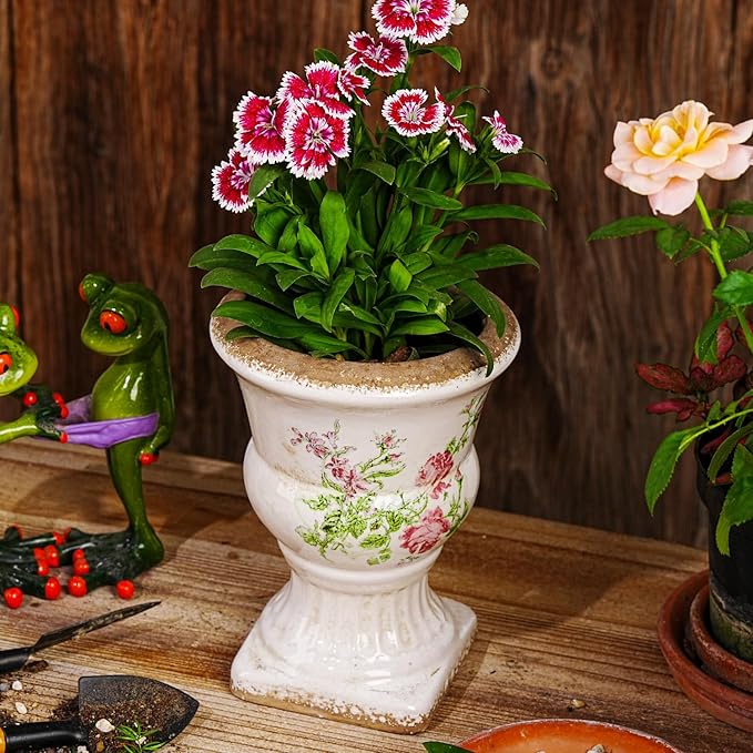 Sungmor Small Ceramic Urn Planter - Image 6