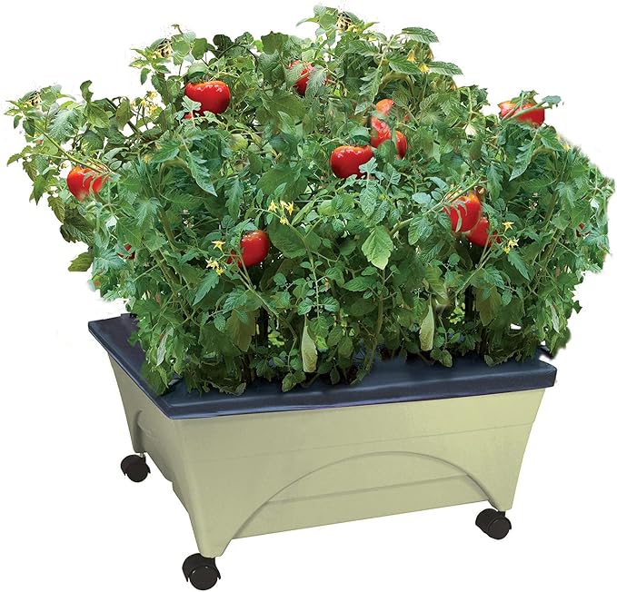 Emsco Group 2342-1HD City Picker Self Watering and Improved Aeration – Mobile by Emsco+Group