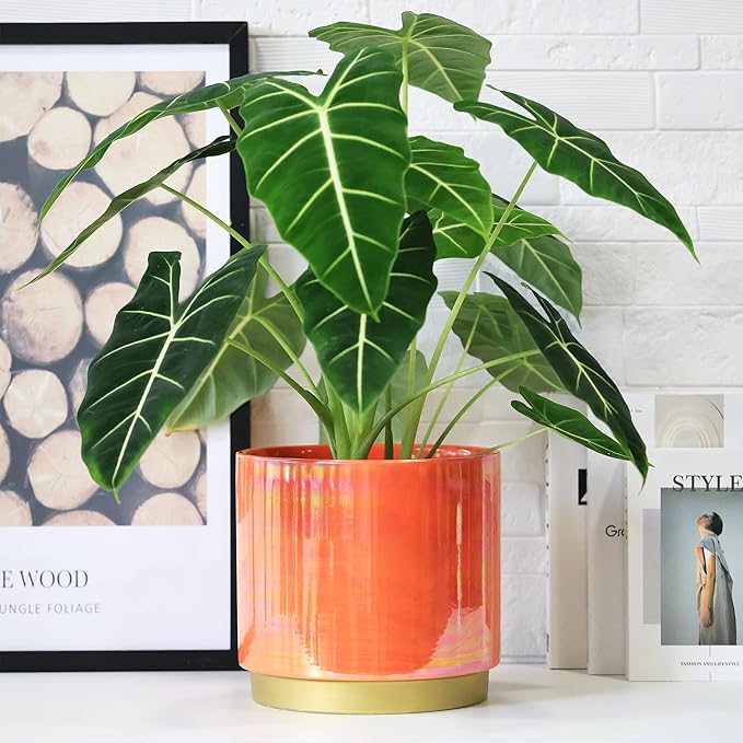 Gepege Peach Indoor Plant Pots for Plants, Large Ceramic Planter - Image 6