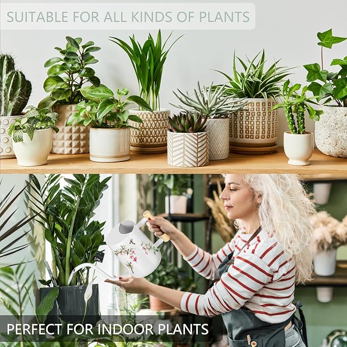 Watering Can Indoor Plants, 35oz Small Stainless Steel Metal Watering Can - Image 5