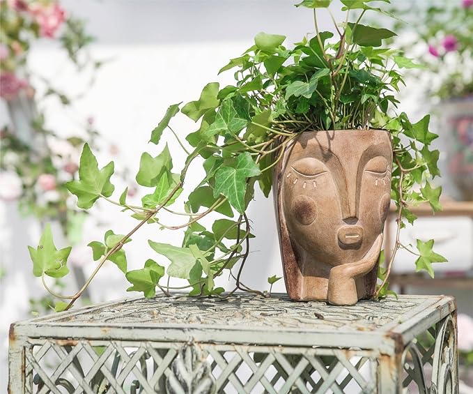 Head Planters for Indoor Plants, Face Flower Pot Head Planter Succulent - Image 2