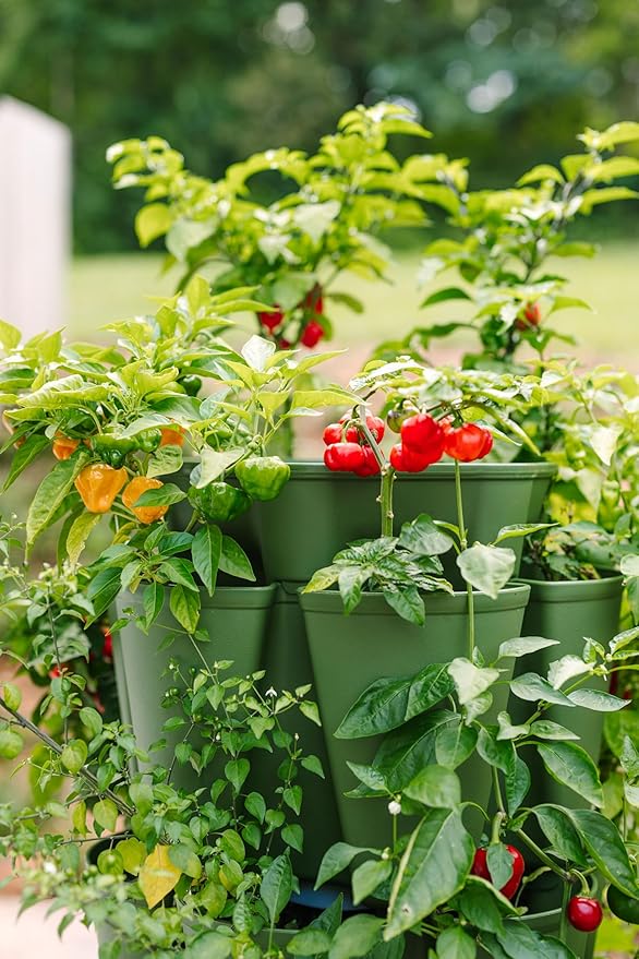 Greenstalk Patented Large 5 Tier Vertical Garden Planter - Image 6