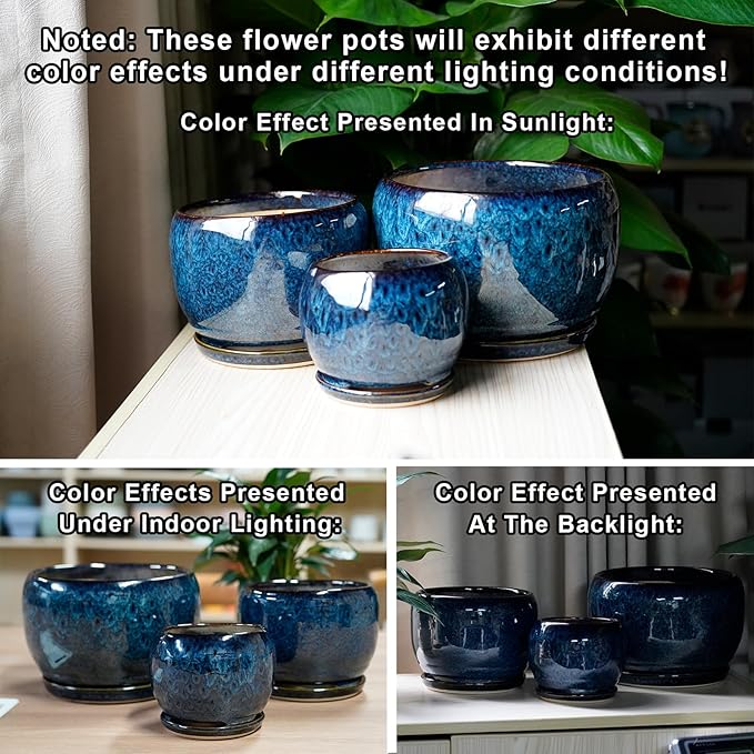 SQOWL 6 Inch Plant Pot - Image 5