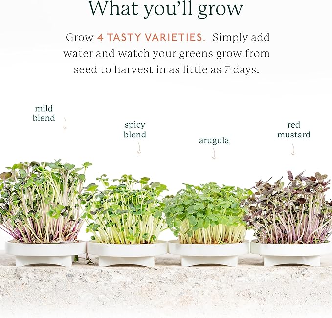 GARDYN Complete Microgreens Growing Kit - Image 4