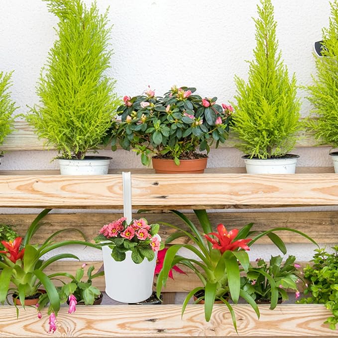 KINGLAKE Flower Pots - Image 6
