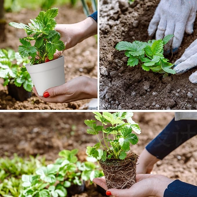 28 Pack 4 inch Small Plant Pots, Plastic Planters - Image 6