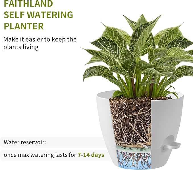 FaithLand 3-Pack Large Planter Pots, 12 10 9 Inch Self Watering Flower Pots - Image 4