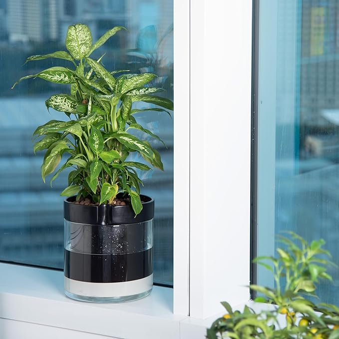 Phoenix Vine 10 Inch Self Watering Terracotta Planter - Image 7