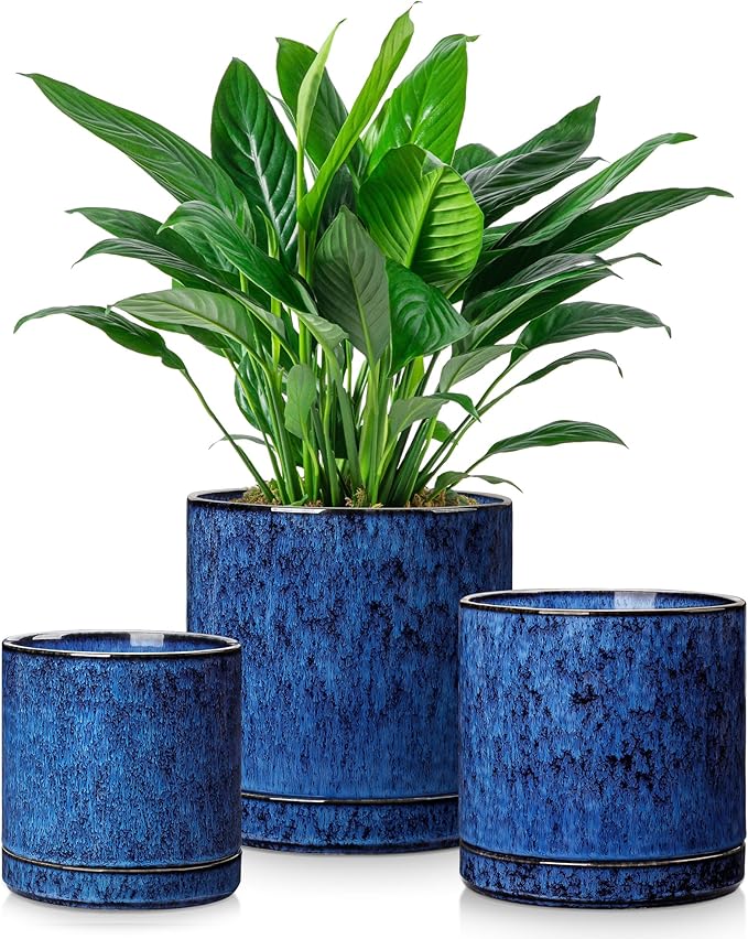 vancasso Ceramic Plant Pots, 3 Piece Planters by vancasso