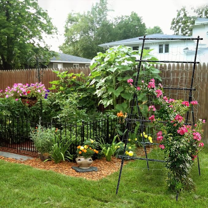 Lalahoni Cucumber Trellis, 6ft Tall Metal Garden Trellis - Image 3