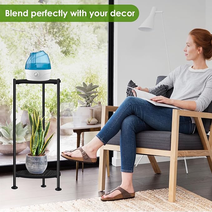 Plant Stand Indoor Outdoor, Heavy Duty Indoor Plant Shelf, 2 Tier Display Rack - Image 6