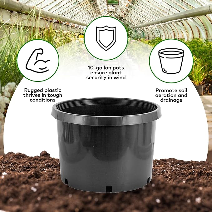 Pro Cal 10 Gallon Premium Nursery Plastic Planter Flower Herb Vegetable Garden - Image 3