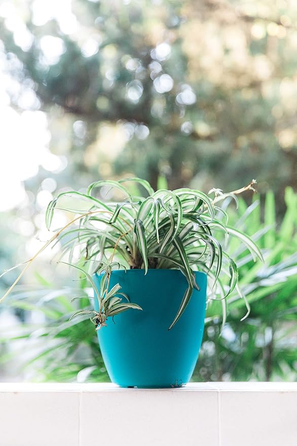 GARDENIX DECOR Self Watering Pots - Image 7
