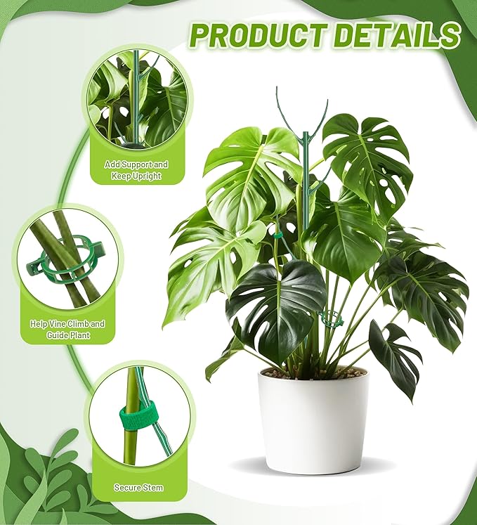 Plant Support Stakes, 1 Roll Tie - Image 4