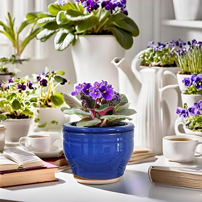African Violet Pots Self Watering Round Ceramic Violet Pot - Image 7
