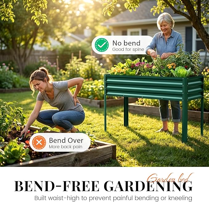 KING BIRD Large Raised Garden Bed - Image 3