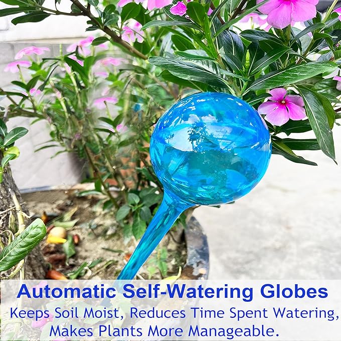Large 12pcs Plant Watering Globes - Image 7