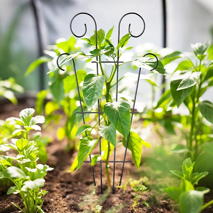 4 Pack 32'' Indoor Plant Trellis - Image 6