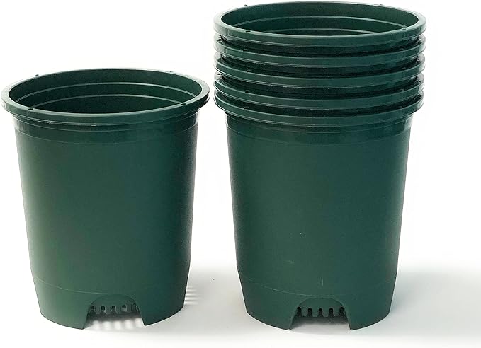 3 Gallon 6-Pack Plant Pots Nursery Pot Green Plastic Planters by CottaPlanters