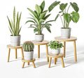 Delma Wood Plant Stands Indoor, Mid-Century Modern Plant Stool, Tall Plant Stand by Delma