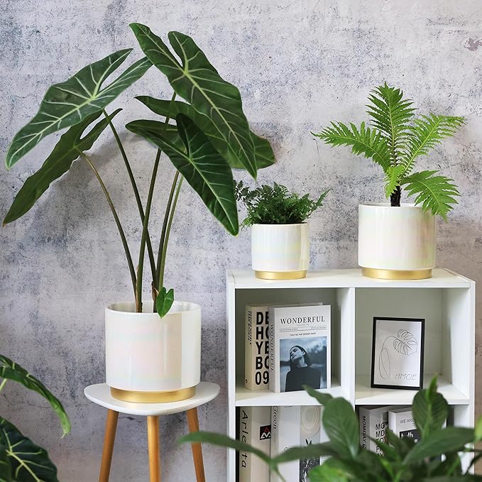 Gepege White Indoor Plant Pots for Plants, Ceramic Planter - Image 6