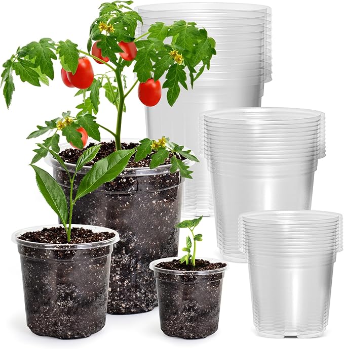 30 Packs 7/5/4 Inch Reinforced Clear Nursery Pots by Bluepro