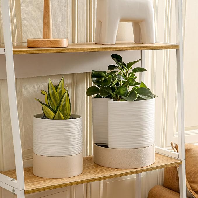 Nihow Self Watering Plant Pot: 8 Inch Ceramic Planter - Image 5