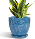 6 Inch Ceramic Plant Pot by EPFamily
