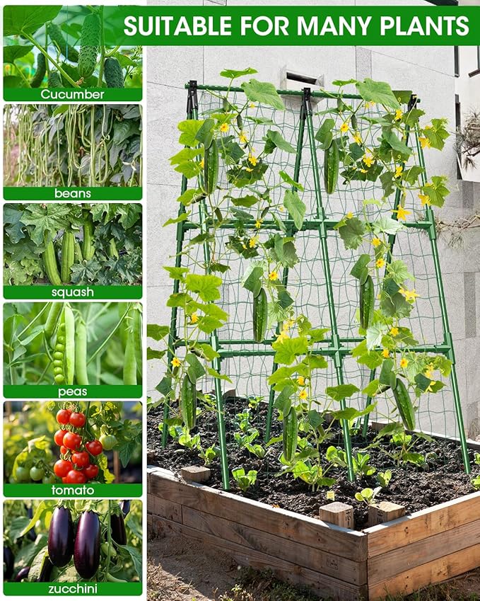 4 Pack Cucumber Trellis, Garden Trellis - Image 3