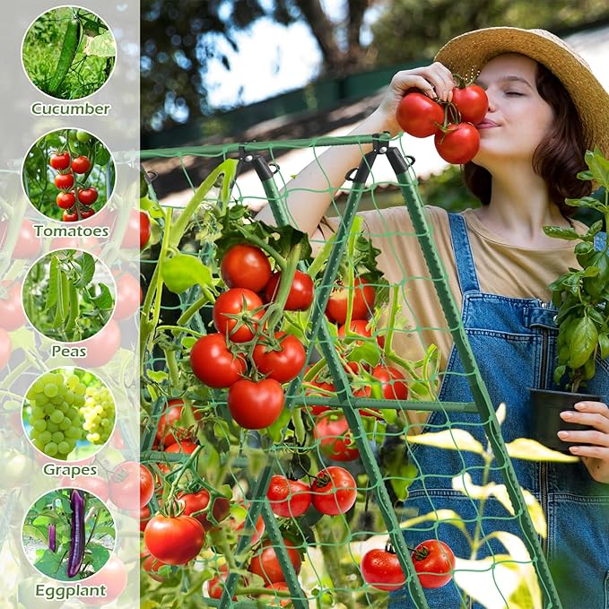 Cucumber Trellis for Raised Beds, 45 x 53 Inch Adjustable Size A-Frame Garden - Image 6