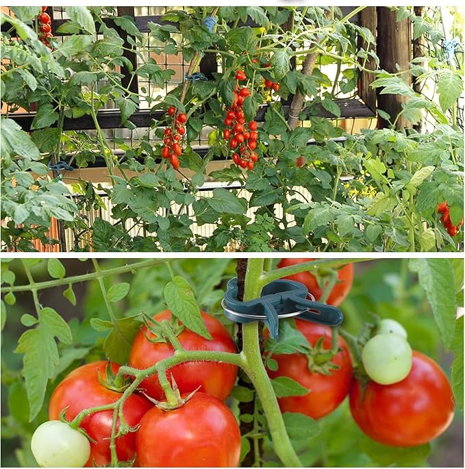 Plant Support Clips, Gardening Lever Loop Gripper Clips Help Stems Vines Grow - Image 3