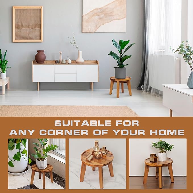 Demigo Indoor Plant Stand, Acacia Wooden Decorative Plant Shelf - Image 5