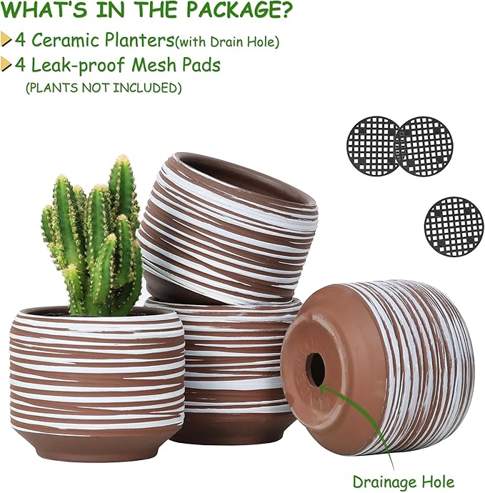 Mini Succulent Planter Set – 3.7 Inch Ceramic Pots - Image 2
