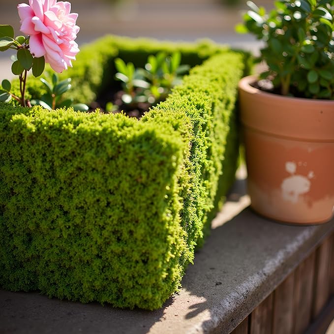 SuperMoss MossWeave Window Box Planter, Fresh Green - Image 6