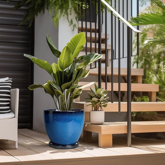 Ceramic Pots for Plants - Image 5
