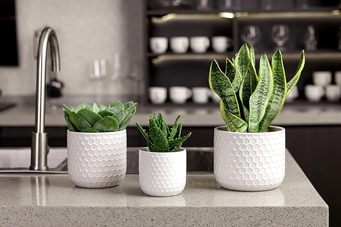 Docrin Plant Pots Indoor with Drainage: 6.4+5.3+4 Inch Ceramic Flower Pots - Image 7