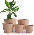 Utopia Home - Spotty Plant Pots Indoor - 7/6.6/6/5.3/4.8 Inches Flower Pots - 5 by UTOPIAHOME