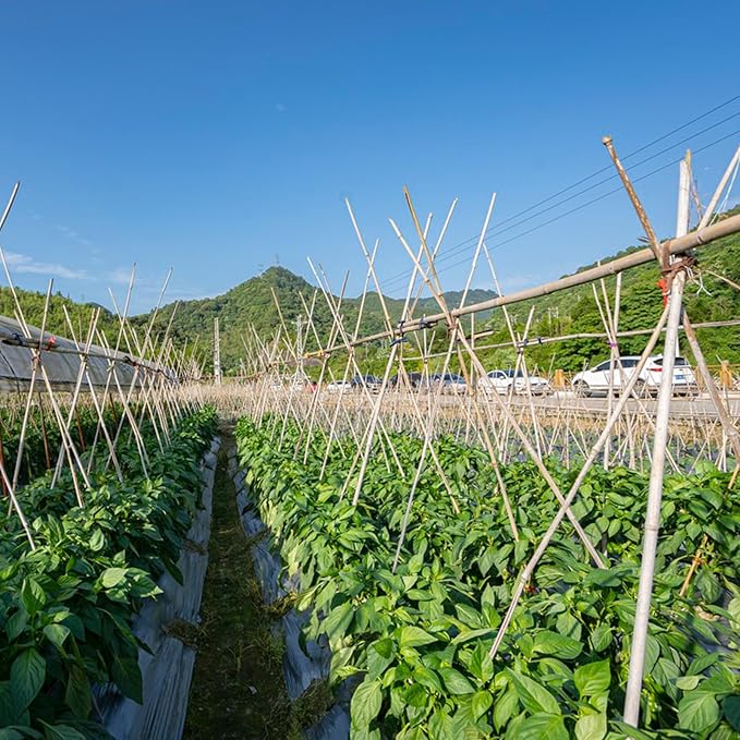 Plant Stakes, 4FT Natural Bamboo Garden Stakes, Bamboo Sticks - Image 7