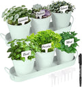 Herb Garden Planter Indoor Kit – 6 Metal Pots by Wacloud