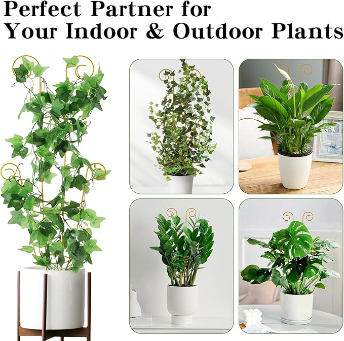 ZOUTOG Trellis for Climbing Plants Indoor 4 Pack 30 Inch, Rustproof Metal - Image 7