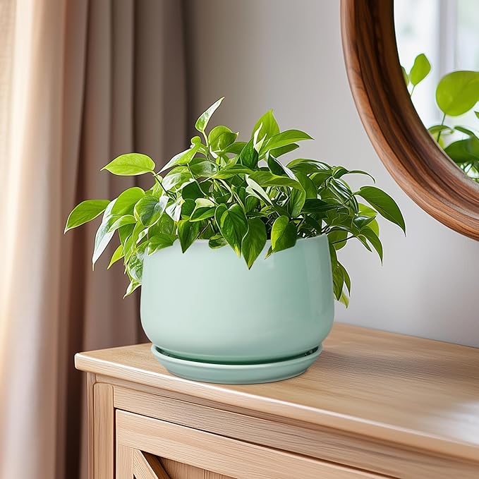 G EPGardening Ceramic Plant Pots - Image 6