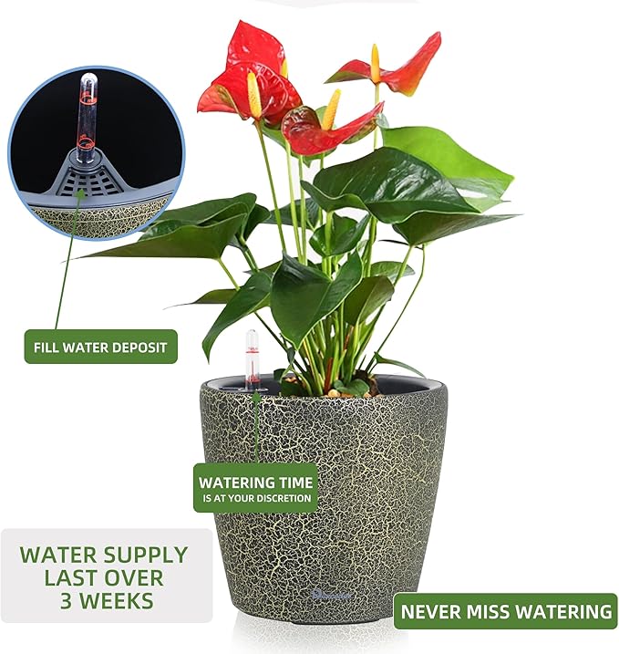 Dexceder 9x8 Inches Self Watering Planter Indoor Outdoor, Inner Pot Design - Image 5